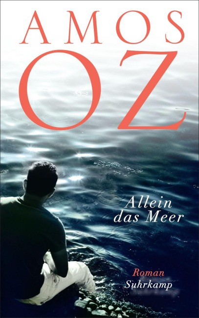 Allein das Meer - Amos Oz