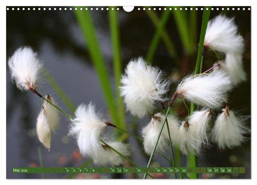 InsideView 10