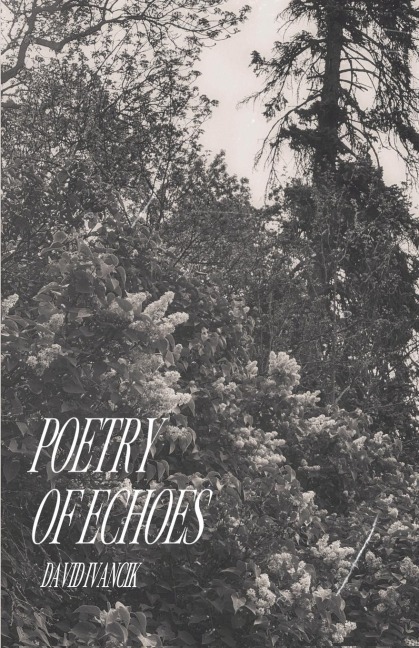 Poetry of Echoes - David Ivancik