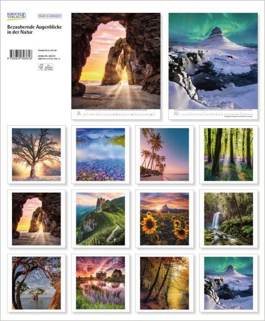InsideView 13