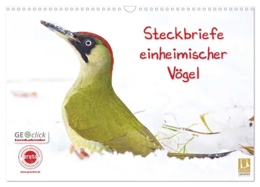 Steckbriefe einheimischer Vögel (Wandkalender 2026 DIN A3 quer), CALVENDO Monatskalender - Klaus Feske
