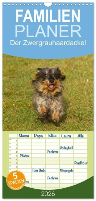 Familienplaner 2026 - Der Zwergrauhaardackel - Eigensinnig und Liebenswert mit 5 Spalten (Wandkalender, 21 x 45 cm) CALVENDO - Kattobello Kattobello