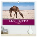Sinai - Natur Pur (hochwertiger Premium Wandkalender 2025 DIN A2 quer), Kunstdruck in Hochglanz - Claudia Wiens