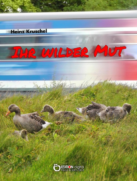 Ihr wilder Mut - Heinz Kruschel