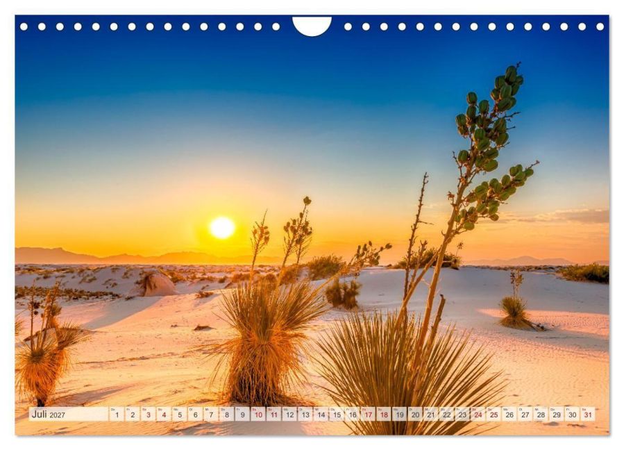 InsideView 12