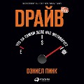Cover-Bild zum Titel 'Drive: The Surprising Truth About What Motivates Us' von 'Daniel H. Pink'