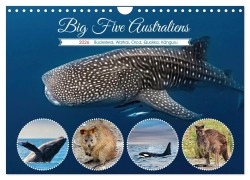 Cover-Bild zum Titel 'Big Five Australiens Buckelwal, Walhai, Orca, Quokka,Känguru (Wandkalender 2026 DIN A4 quer), CALVENDO Monatskalender' von 'Susan Michel'