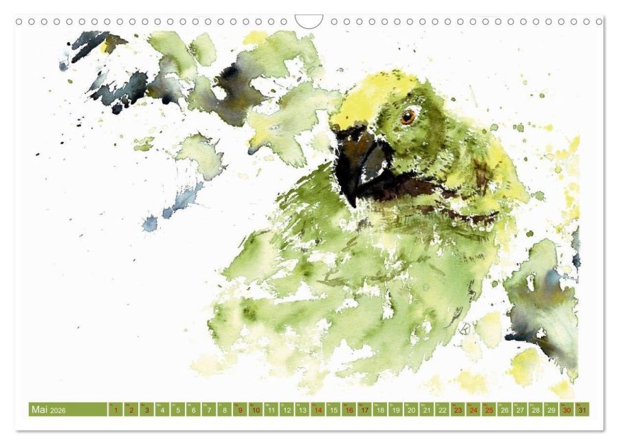 InsideView 10