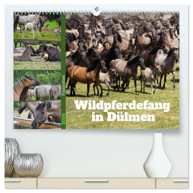 Faszination Wildpferdefang in Dülmen (hochwertiger Premium Wandkalender 2026 DIN A2 quer), Kunstdruck in Hochglanz - Babett Paul - Babetts Bildergalerie