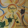 Cover-Bild zum Titel 'So und nicht anders' von 'Chato!'