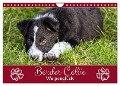 Border Collie - Welpenglück (Wandkalender 2025 DIN A4 quer), CALVENDO Monatskalender - Sabine Löwer