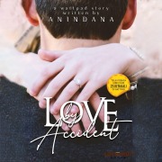 Cover-Bild zum Titel 'Love By Accident' von 'Anindana'