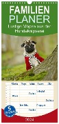 Familienplaner 2024 - Lustige Möpse aus der Hundeknipserei mit 5 Spalten (Wandkalender, 21 x 45 cm) CALVENDO - Kathrin Köntopp