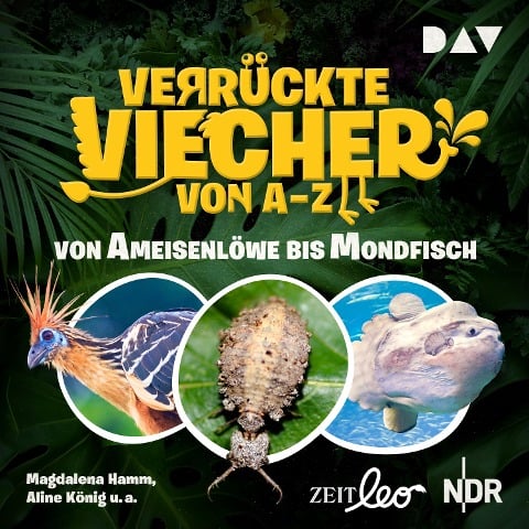 Verrückte Viecher von A bis Z ¿ Teil 1: Von Ameisenlöwe bis Mondfisch - Magdalena Hamm, Aline König