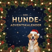 Cover-Bild zum Titel 'Der Hunde-Adventskalender' von 'Louis Hoffmann'