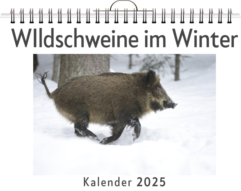 WIldschweine im Winter - Luisa Weber