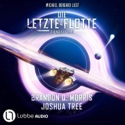 Cover-Bild zum Titel 'Dunkelfeld - Die Letzte Flotte, Teil 4' von 'Brandon Q. Morris, Joshua Tree'