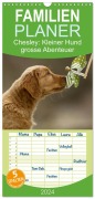 Familienplaner 2026 - Chesley Kleiner Hund grosse Abenteuer mit 5 Spalten (Wandkalender, 21 x 45 cm) CALVENDO - Hundefotografie Bea Müller