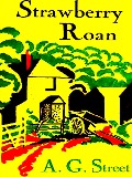 Cover-Bild zum Titel 'Strawberry Roan' von 'Street A. G. Street'