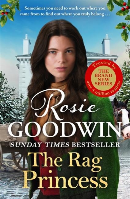 The Rag Princess - Rosie Goodwin