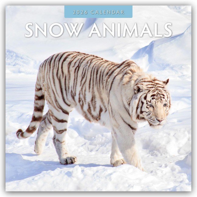 Snow Animals - Arktische Tiere 2026 - 16-Monatskalender - Robin Red