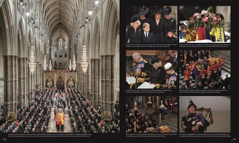 InsideView 11