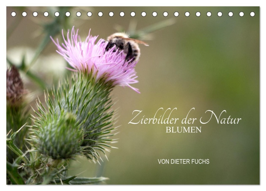 Zierbilder der Natur BLUMEN (Tischkalender 2026 DIN A5 quer), CALVENDO Monatskalender - Dieter Fuchs