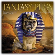 Cover-Bild zum Titel 'Fantasy Pugs - Fantasy Möpse 2027 - 16-Monatskalender' von 'Browntrout Publishers'