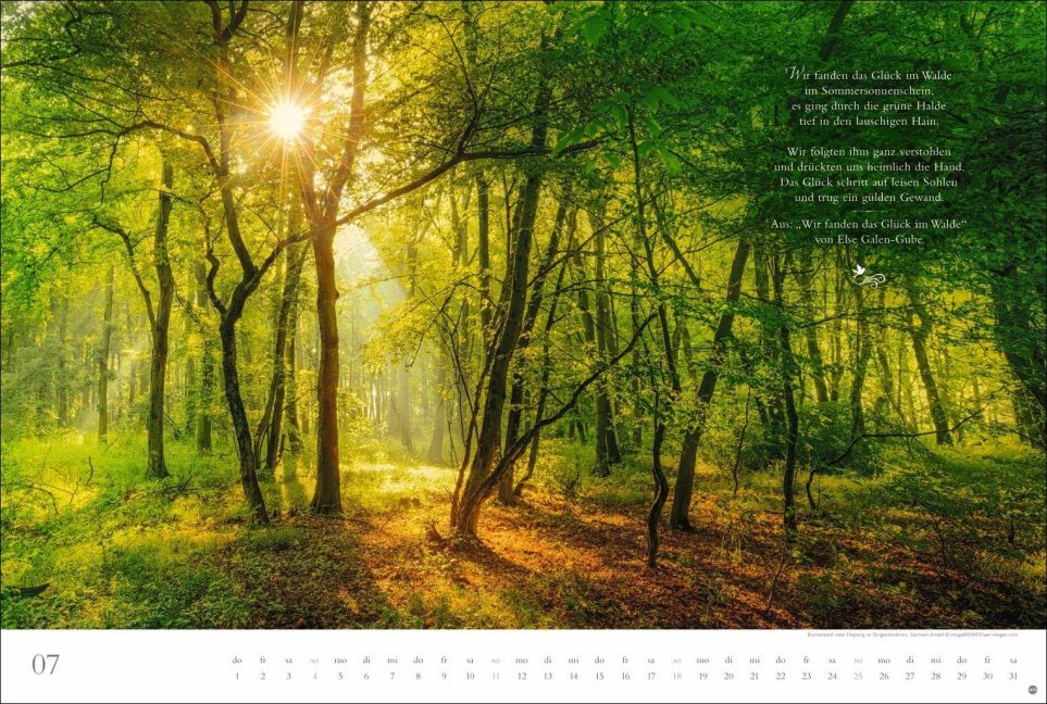 InsideView 7