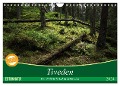 Tiveden, der NatURWALD in Schweden (Wandkalender 2024 DIN A4 quer), CALVENDO Monatskalender - Bernhard Loewa