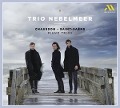 Cover-Bild zum Titel 'Chausson - Saint-Sa¿ns: Piano Trios' von 'Trio Nebelmeer'