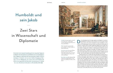 InsideView 7