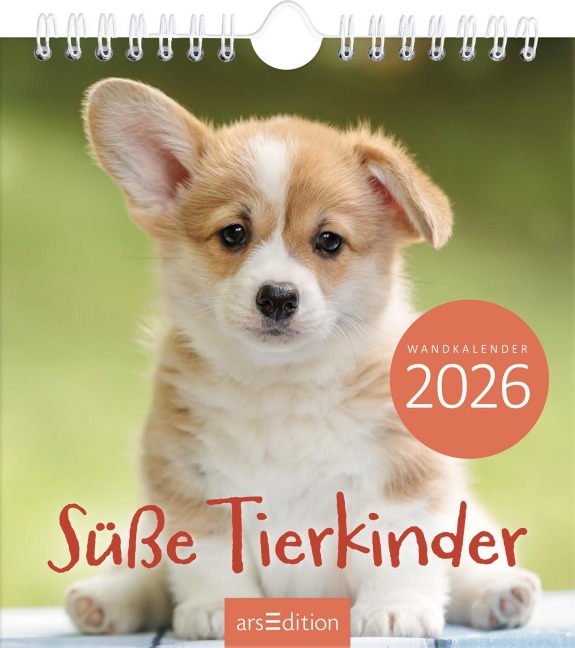 Wandkalender Süße Tierkinder 2026 - 
