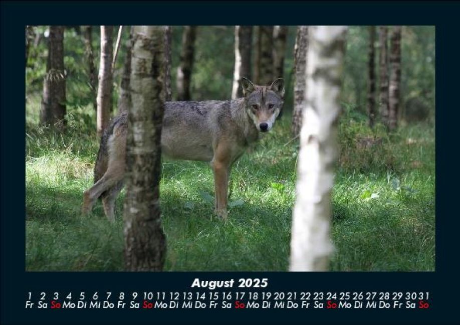 InsideView 12