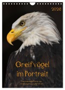 Cover-Bild zum Titel 'Greifvögel im Portrait (Wandkalender 2026 DIN A4 hoch), CALVENDO Monatskalender' von 'Guido Tipka (Guti-Fotos)'