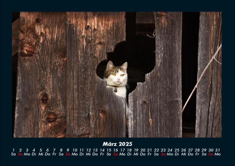 InsideView 7
