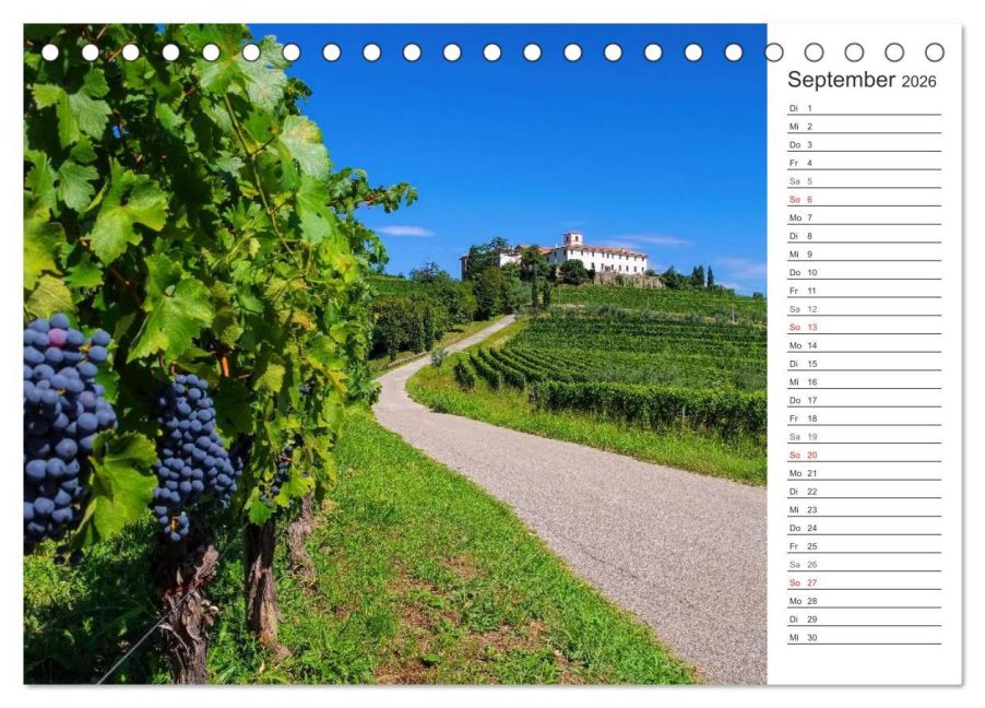 InsideView 14