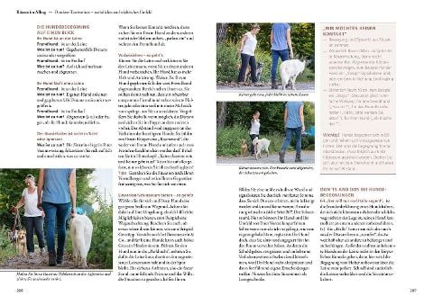 InsideView 5