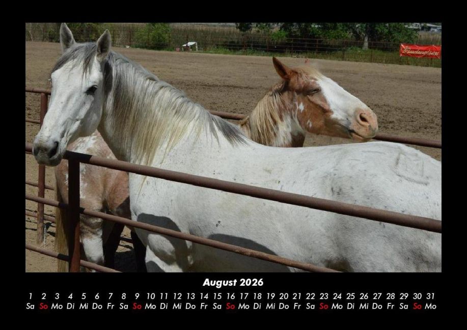 InsideView 12