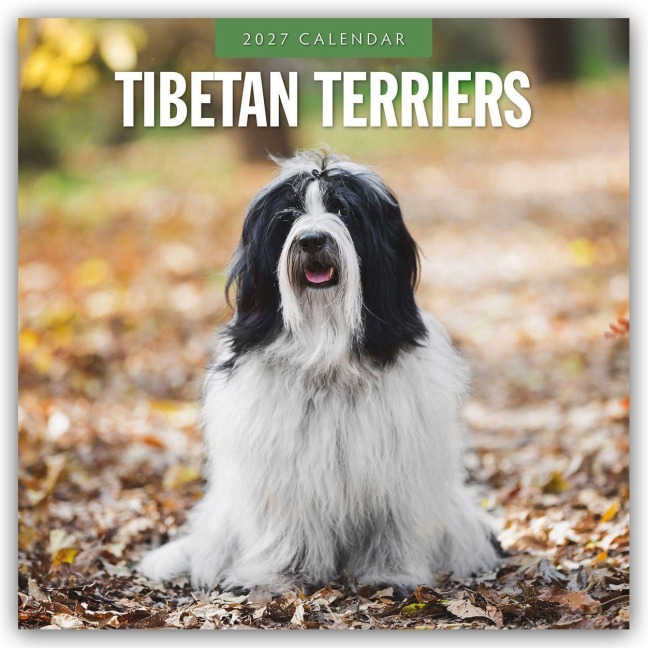 Tibetan Terriers - Tibet Terrier 2027 - 16-Monatskalender - Robin Red