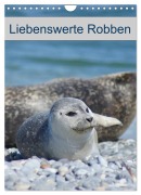 Cover-Bild zum Titel 'Liebenswerte Robben (Wandkalender 2026 DIN A4 hoch), CALVENDO Monatskalender' von 'Kattobello Kattobello'