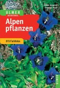 Cover-Bild zum Titel 'Alpenpflanzen' von 'Thomas Muer, Oskar Angerer'