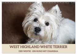 WEST HIGHLAND WHITE TERRIER - DER WESTIE - EIN HUND MIT CHARISMA (Wandkalender 2026 DIN A3 quer), CALVENDO Monatskalender - Angela Rohde