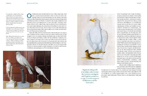 InsideView 8