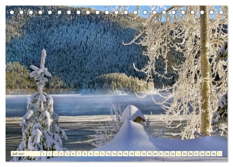 InsideView 12