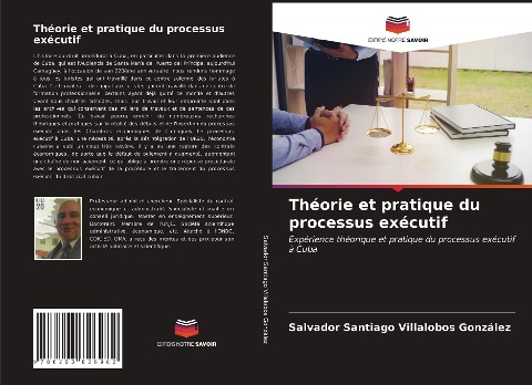 Théorie et pratique du processus exécutif - Salvador Santiago Villalobos González