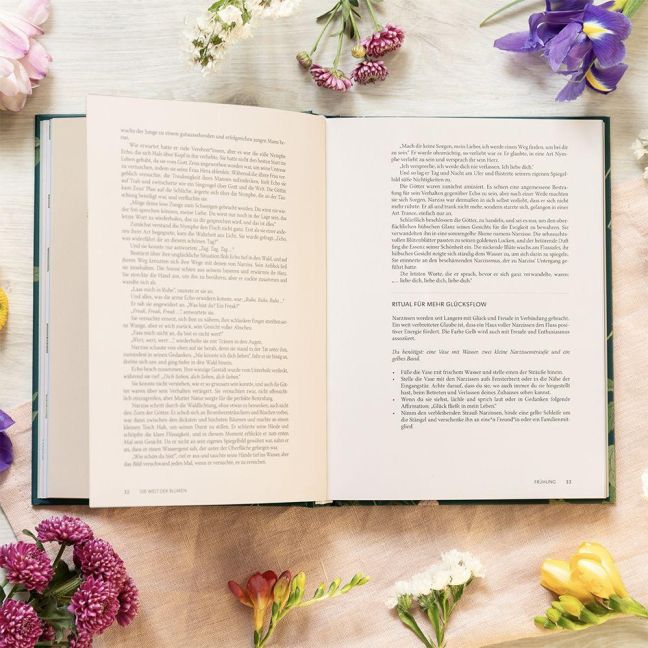 InsideView 13