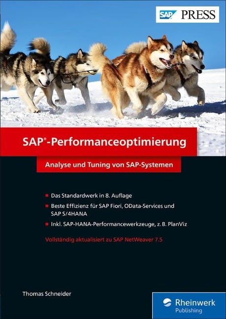 SAP-Performanceoptimierung - Thomas Schneider