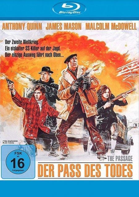 Der Pass des Todes - Bruce Nicolaysen, Stephen Oliver, Michael J. Lewis