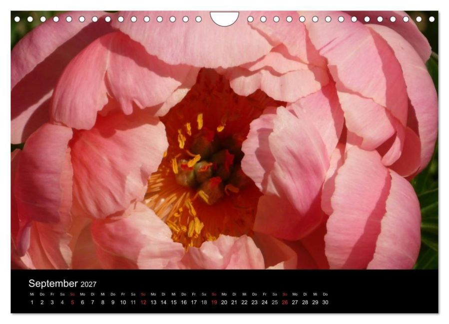 InsideView 14